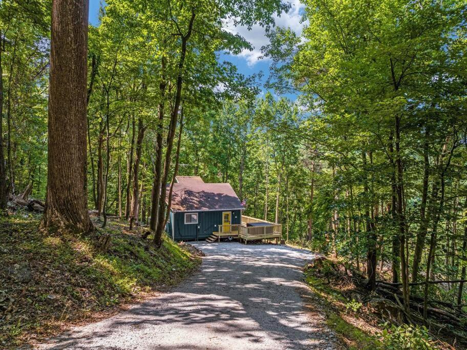 Forest Ridge Cabin - Hot Tub, Wi-Fi, National Park 15 Min, Fire Pit Elkton Exterior photo